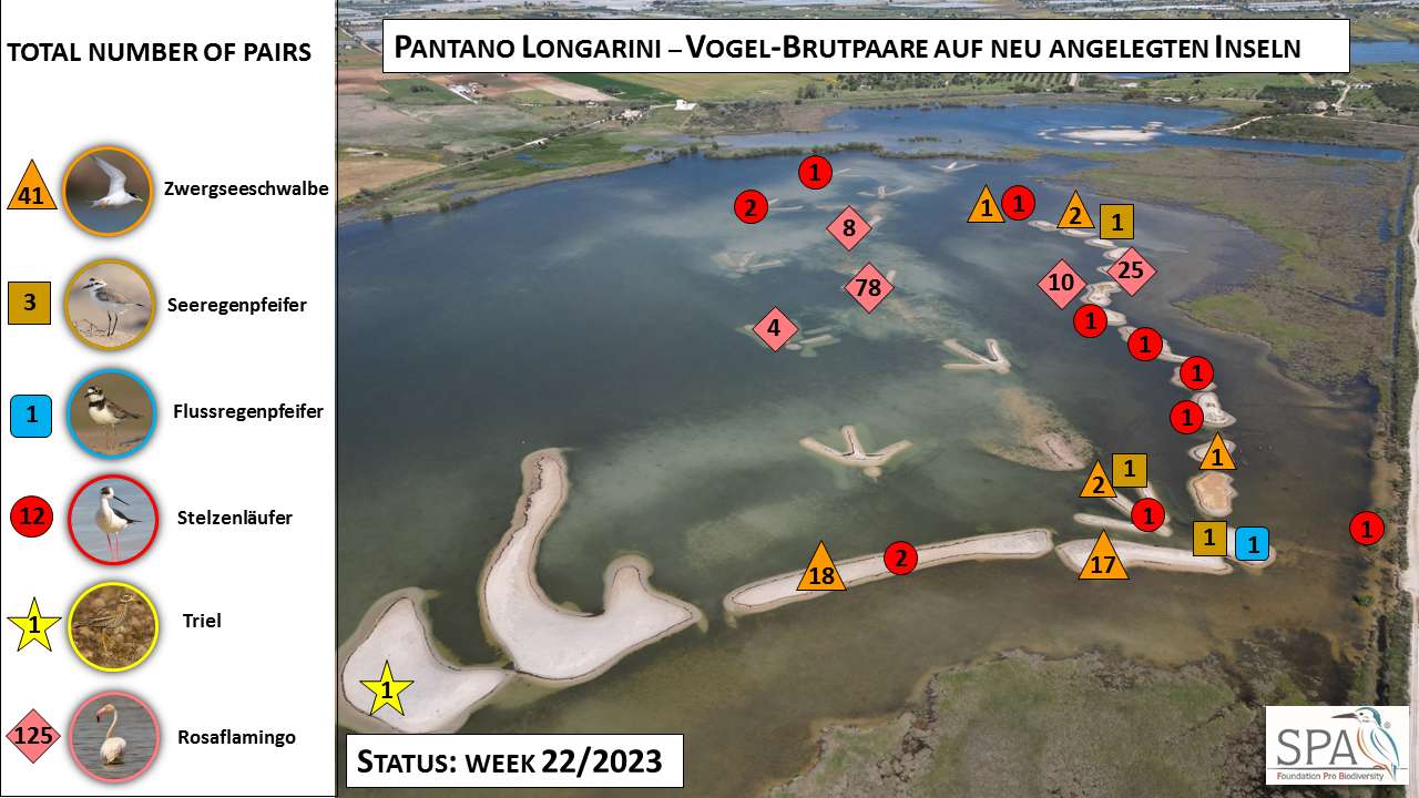 In 2022, more than 40,000 m&sup3; of sandy soil were moved as part of our ecological rehabilitatio - Bild 3